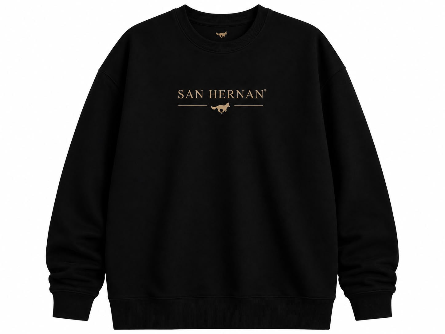 MOLETOM SAN HERNAN